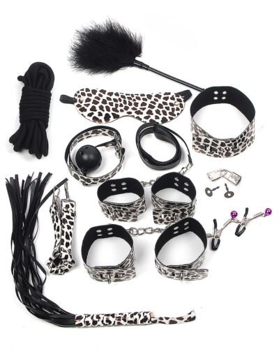 Leopard Print BDSM Kit - Image 3