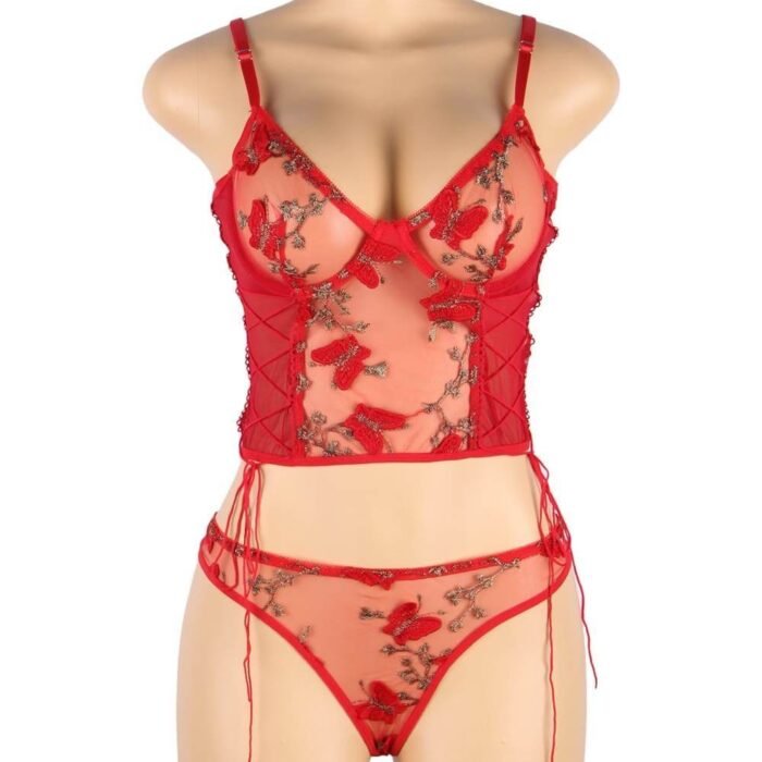 IMG_2403 Red Butterfly Pattern Embroidery Mesh Lingerie Set With Underwire