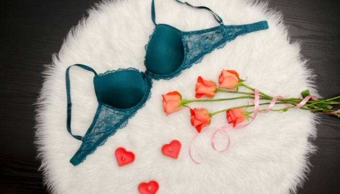 How to pick the perfect Blue Mesh Embroidery Lace Bra?